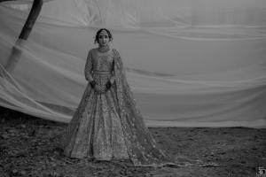Photos by Safarsaga Films